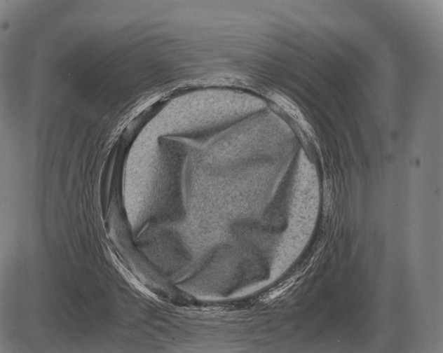 X0000083980389200703161602