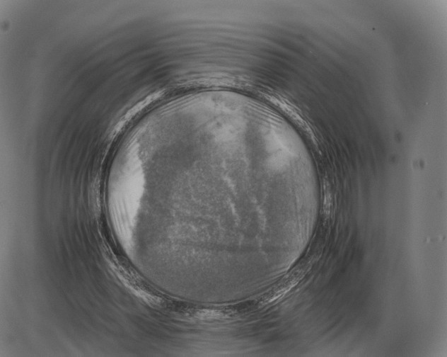 X0000083980390200703161602