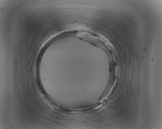 X0000083980391200703161602