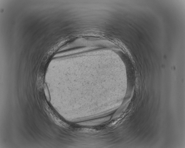 X0000083980393200703161602