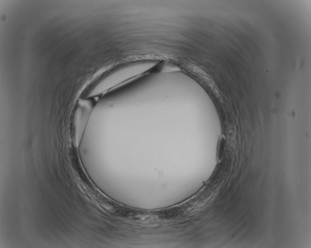 X0000083980395200703161602