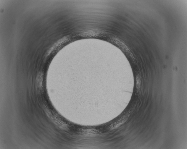 X0000083980396200703161602