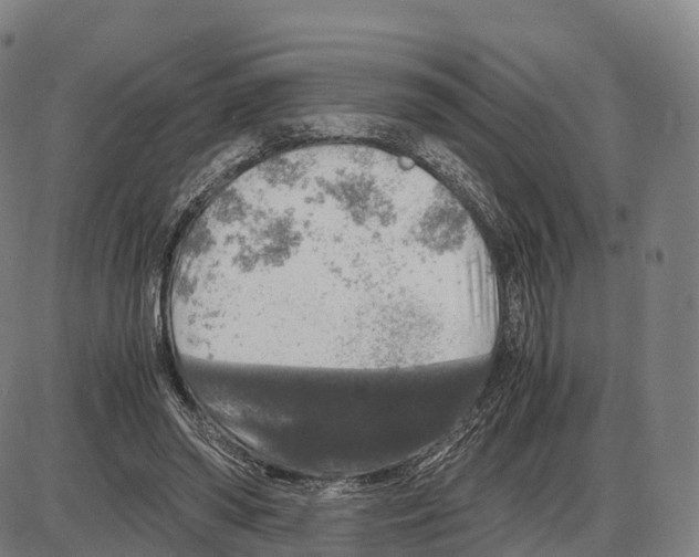 X0000083980398200703161602