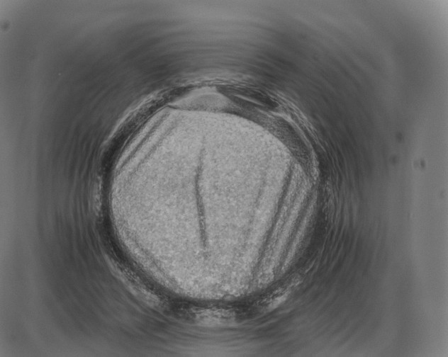 X0000083980400200703161602