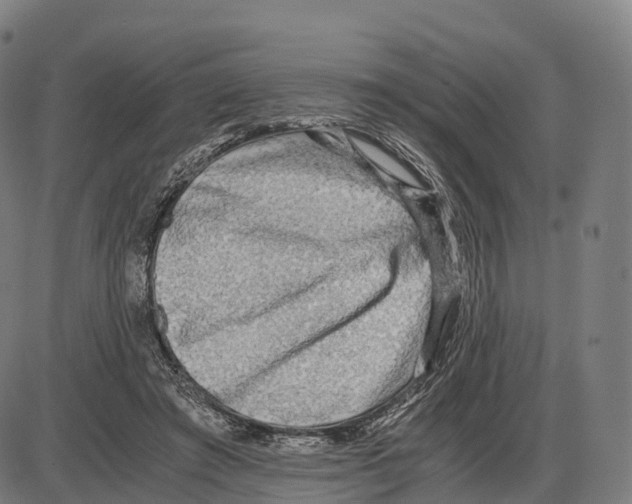 X0000083980401200703161602