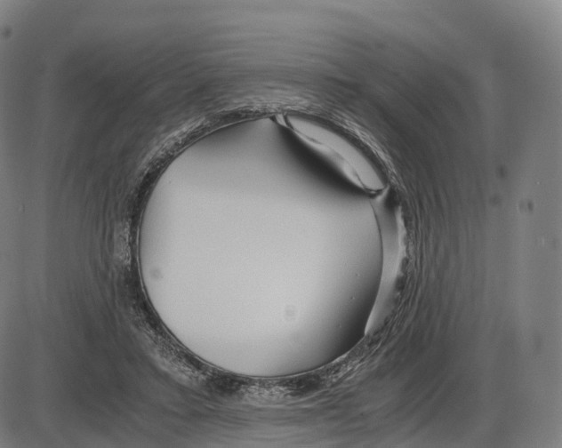 X0000083980403200703161602