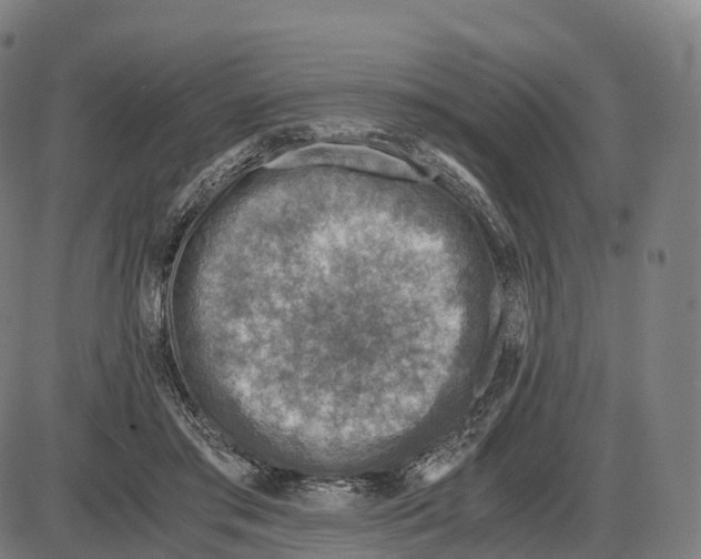 X0000083980405200703161602