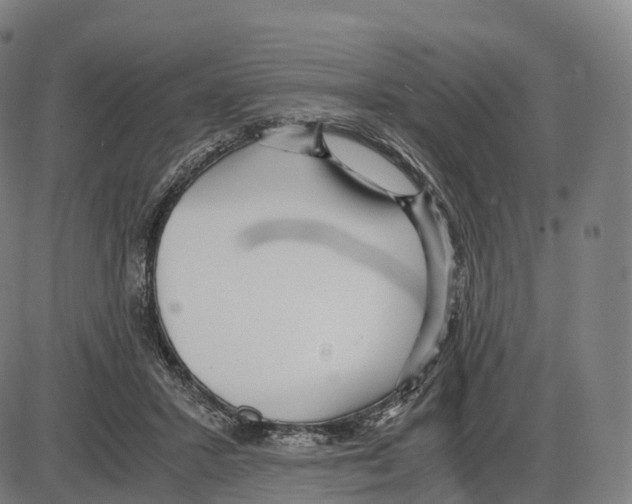 X0000083980407200703161602