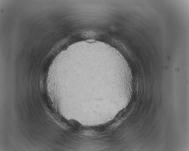 X0000083980408200703161602