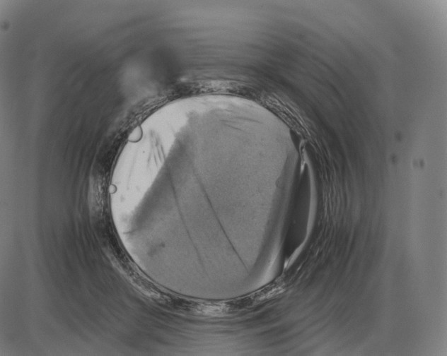 X0000083980410200703161602