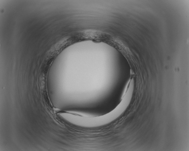 X0000083980413200703161602