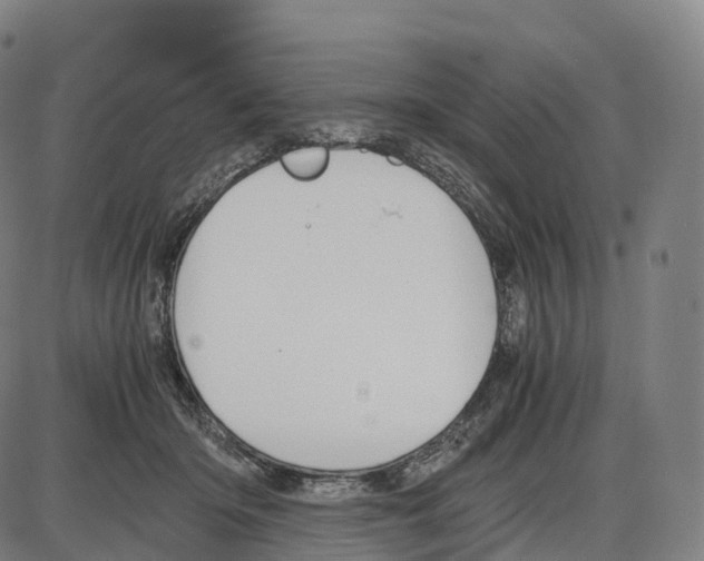 X0000083980414200703161602