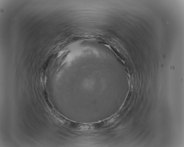 X0000083980415200703161602