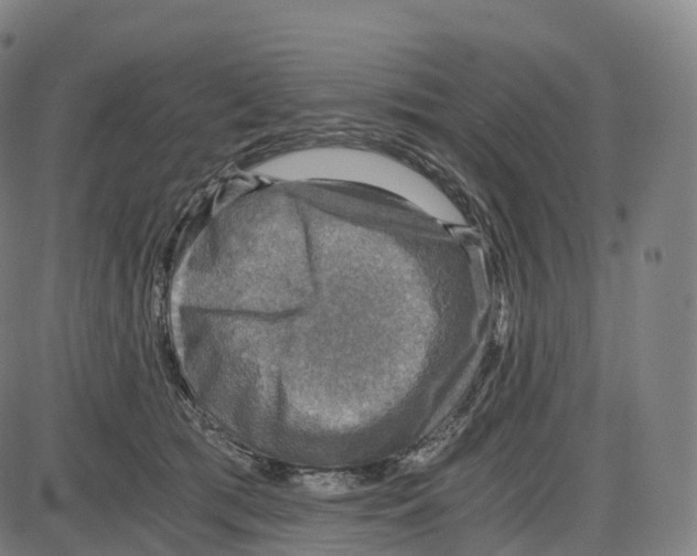 X0000083980417200703161602