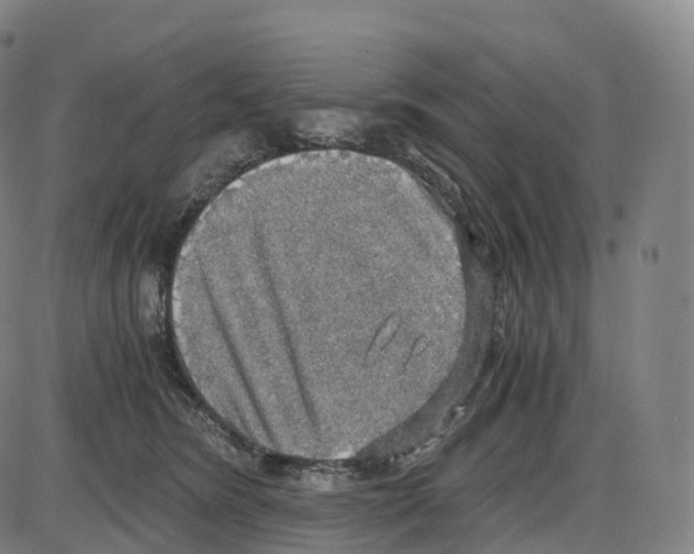 X0000083980420200703161602