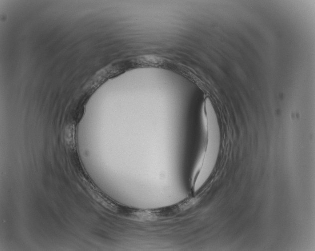 X0000083980425200703161602