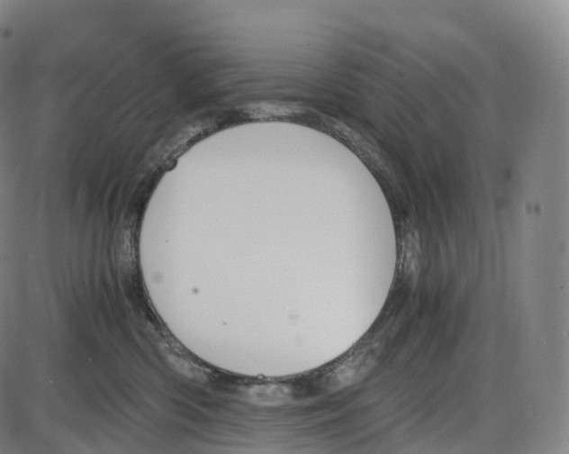 X0000083980426200703161602