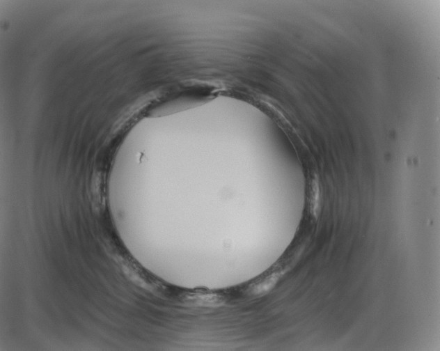 X0000083980428200703161602