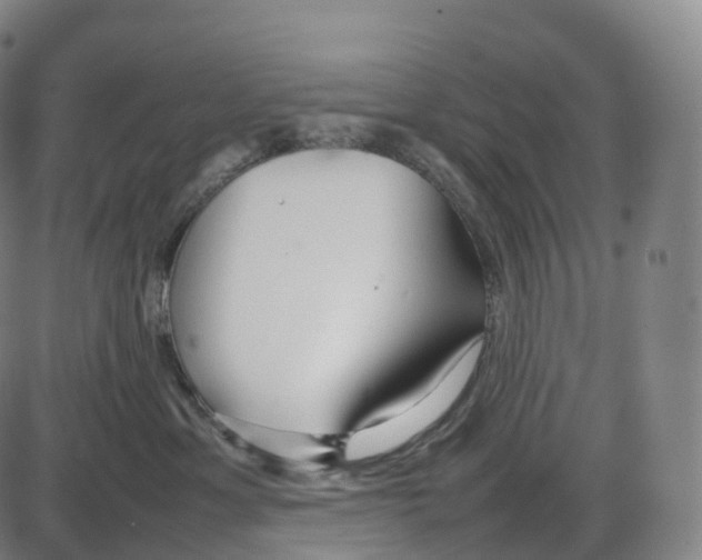 X0000083980429200703161602