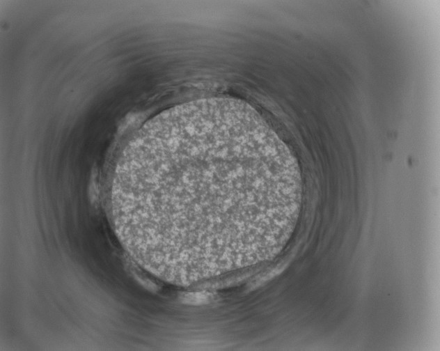 X0000083980432200703161602