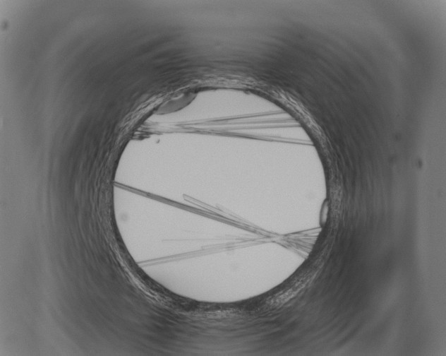 X0000083980433200703161601