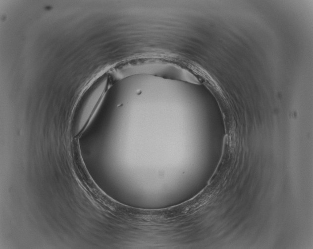 X0000083980436200703161601