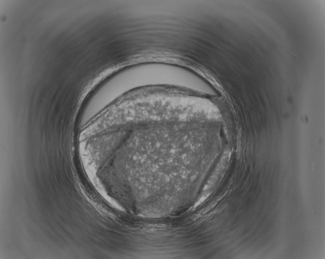 X0000083980438200703161601