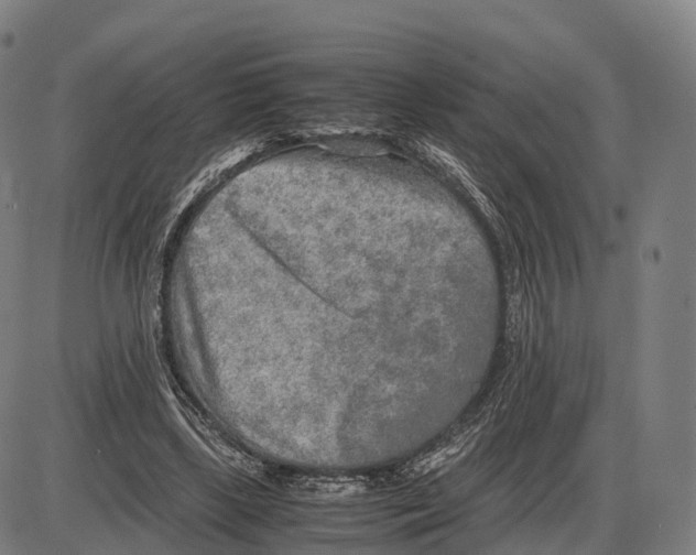 X0000083980443200703161601