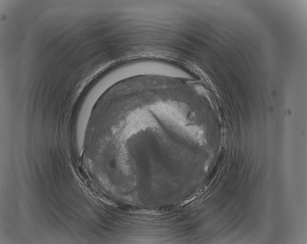 X0000083980444200703161601