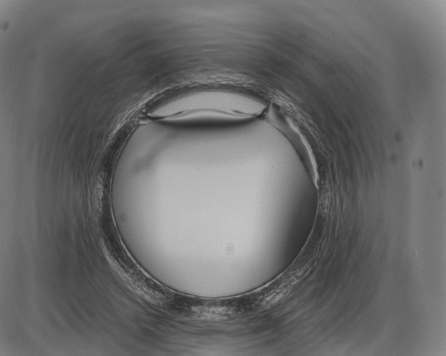 X0000083980448200703161601