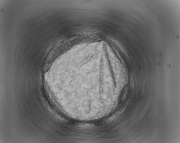 X0000083980453200703161601