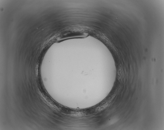 X0000083980454200703161601