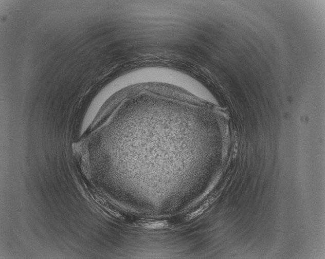 X0000083980456200703161601