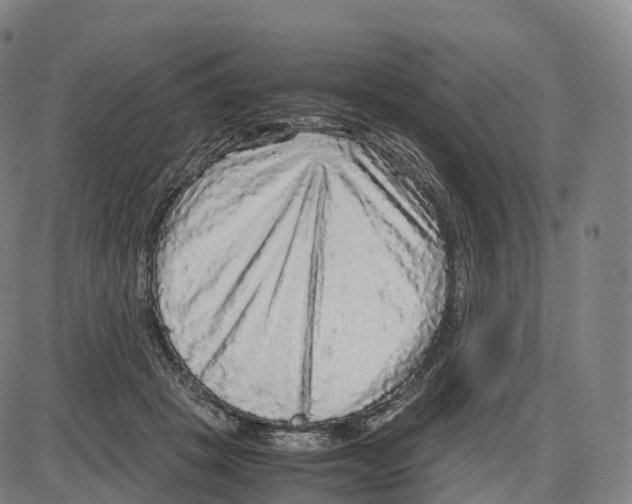 X0000083980457200703161601