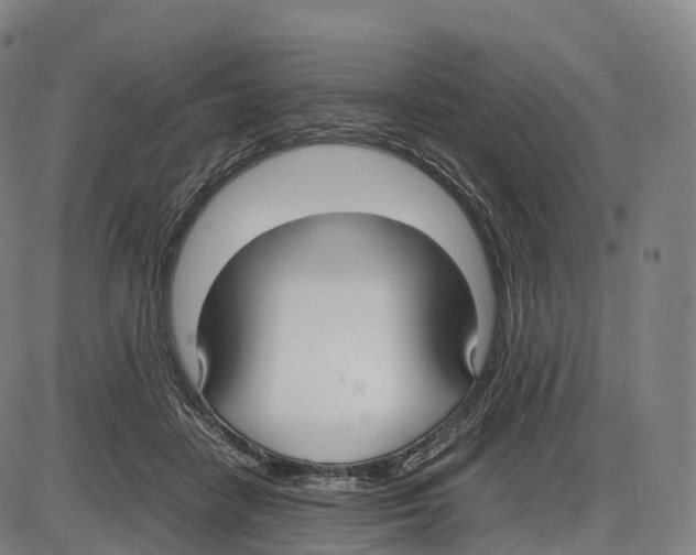 X0000083980458200703161601