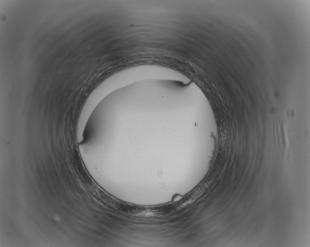 X0000083980460200703161601