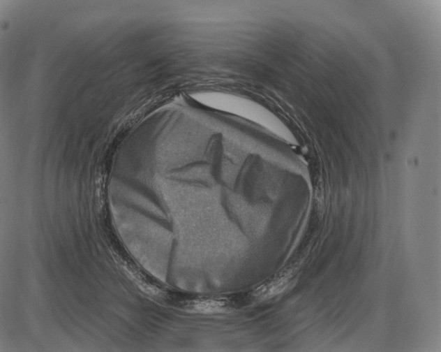 X0000083980462200703161601