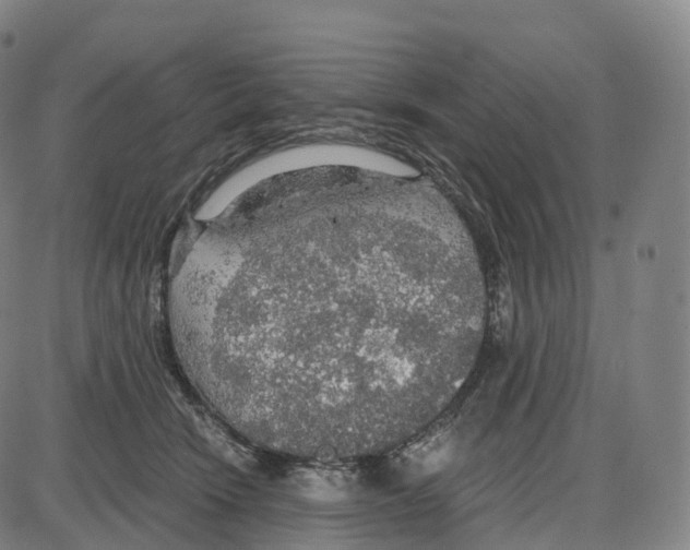 X0000083980466200703161601