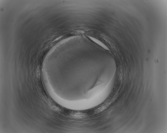 X0000083980467200703161601