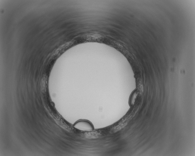 X0000083980468200703161601