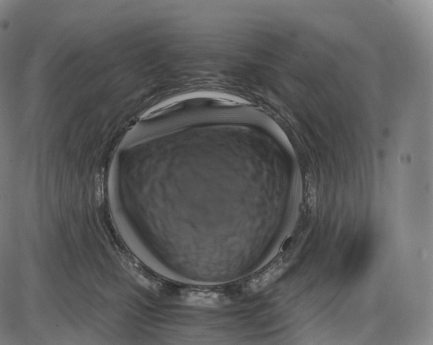 X0000083980471200703161601