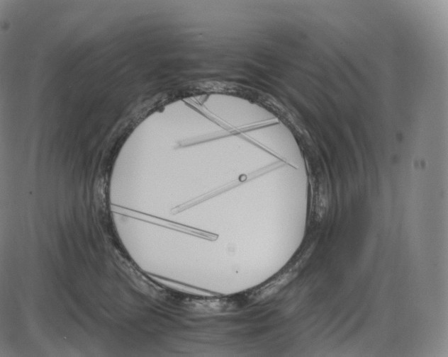 X0000083980473200703161602