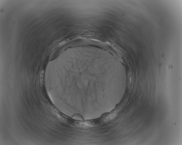 X0000083980475200703161602