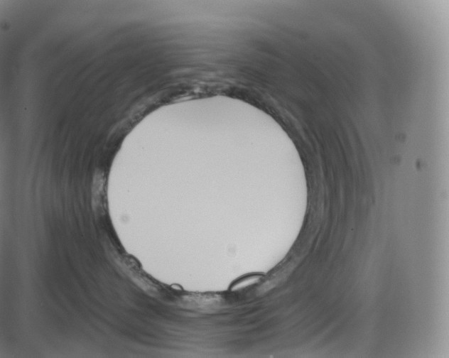 X0000083980480200703161602