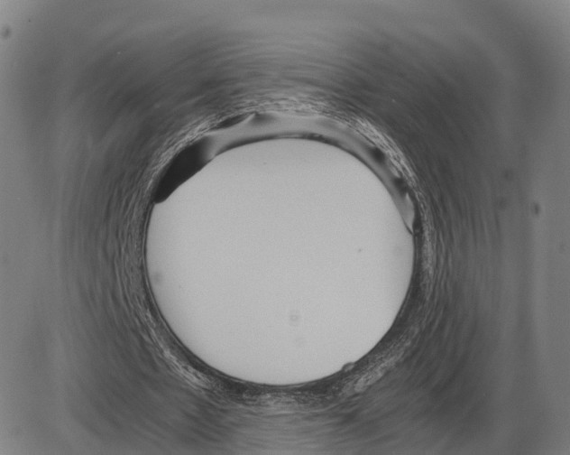 X0000083980481200703161601