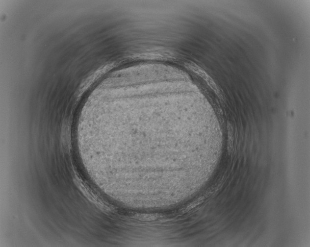 X0000083980482200703161601