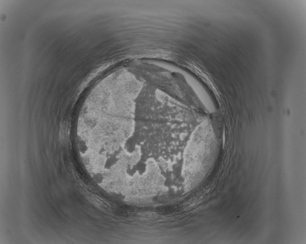 X0000083980483200703161601