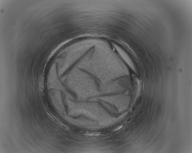 X0000083980484200703161601