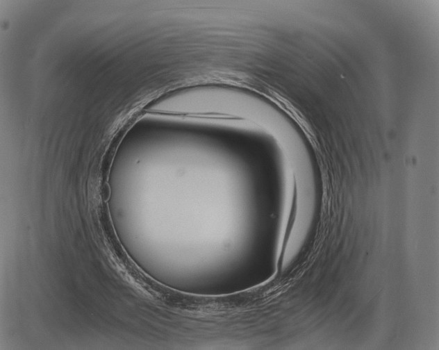 X0000083980485200703161601