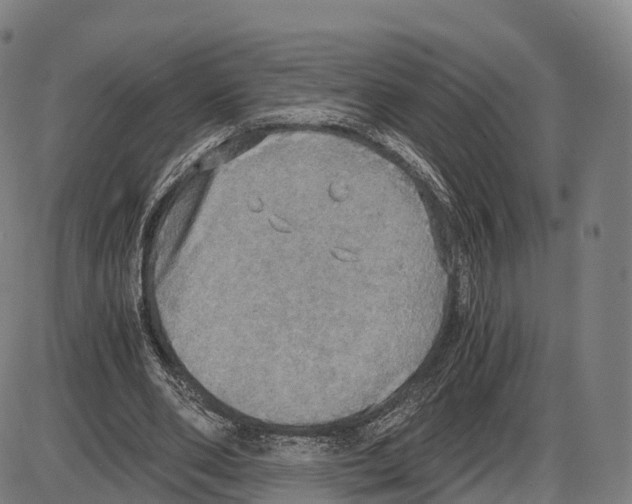 X0000083980486200703161601